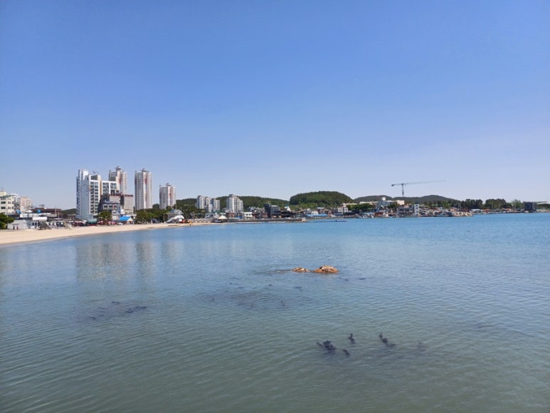 일광해수욕장 이미지 2