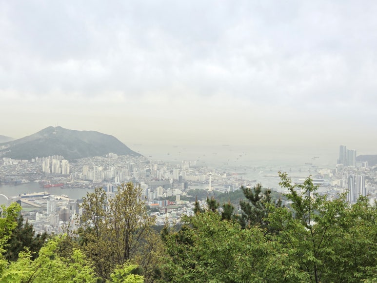엄광산 등산코스