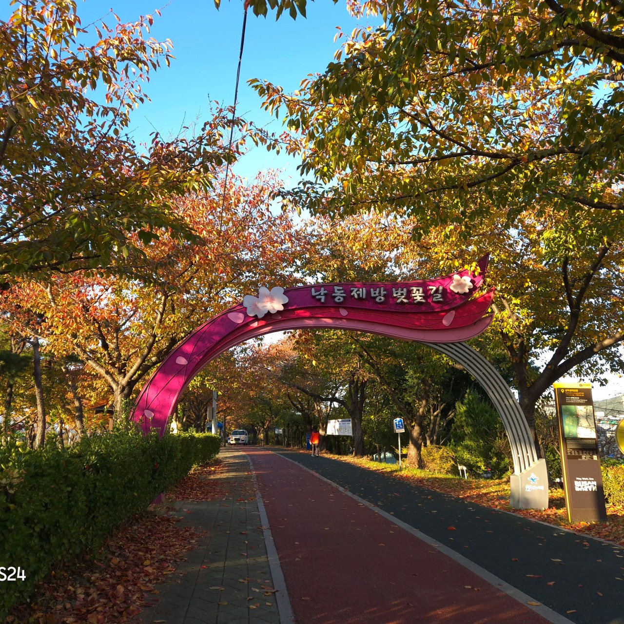 낙동강정원 벚꽃축제 이미지 2