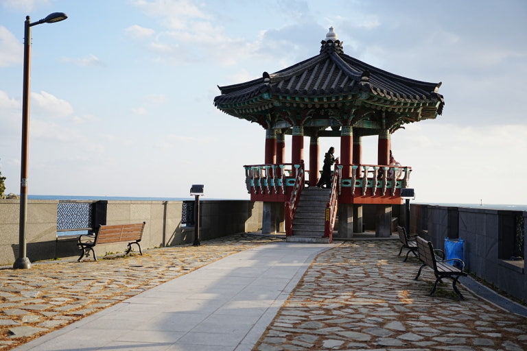 송정 죽도공원 이미지 3
