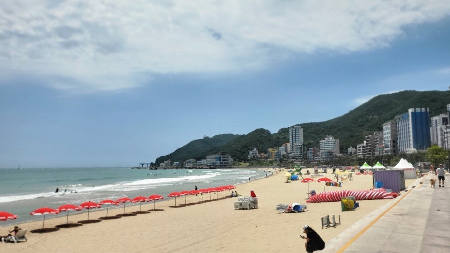 송정 해수욕장 이미지 2